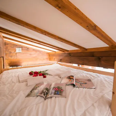 Amethystes D12 In Out - Happy