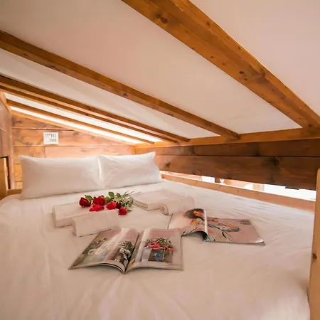 Amethystes D12 In Out - Happy * Chamonix