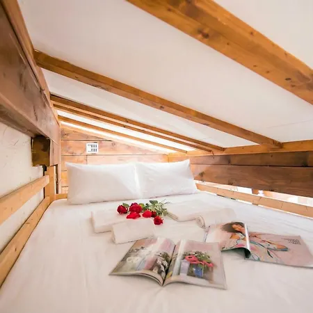 Amethystes D12 In Out - Happy