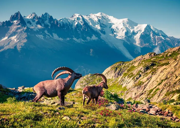 Apartman Amethystes D12 In Out - Happy *