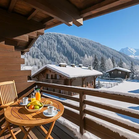 Amethystes D12 In Out - Happy Apartmán Chamonix